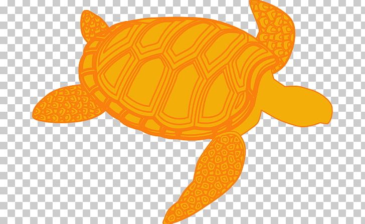 Green Sea Turtle PNG, Clipart, Animal Figure, Animals, Bog Turtle, Clip, Clip Art Free PNG Download