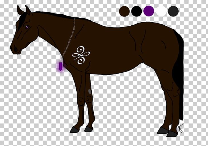 Horse Tack Mane Stallion Rein PNG, Clipart, Animals, Bit, Bridle, Colt, Equestrian Free PNG Download