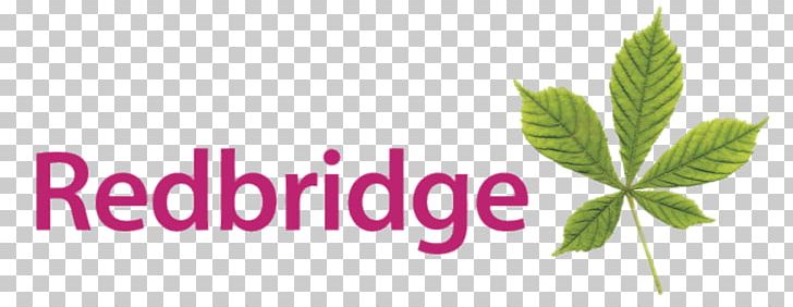 London Borough Of Redbridge PNG, Clipart, London Boroughs, Miscellaneous Free PNG Download