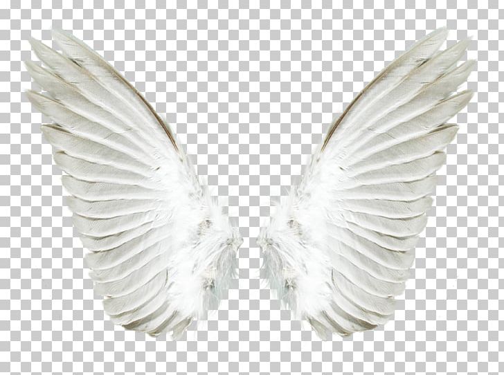 Aile Angel PNG, Clipart, Aile, Angel, Angel Wings, Autocad Dxf, Fantasy Free PNG Download
