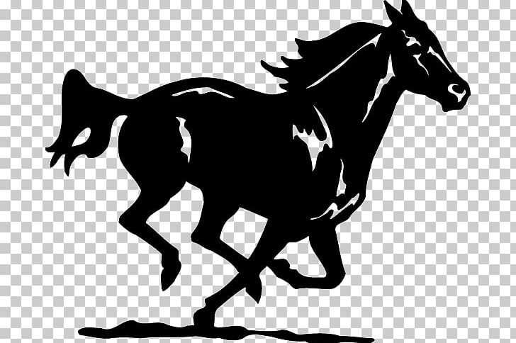 American Quarter Horse PNG, Clipart, Art, Black And White, Bridle, Colt, Fictional Character Free PNG Download