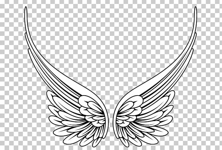 Angel Wing PNG, Clipart, Angel, Angel Wing, Art, Beak, Bird Free PNG Download