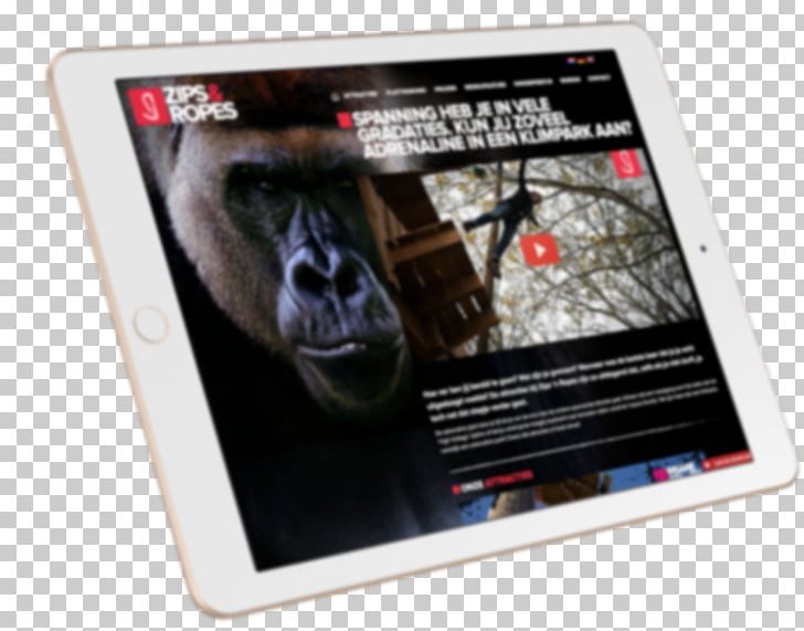 Gorilla Electronics Gadget Multimedia Poster PNG, Clipart, Animals, Electronic Device, Electronics, Gadget, Gorilla Free PNG Download