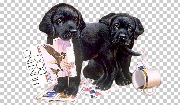 Labrador Retriever Puppy Cairn Terrier Dog Breed Nintendogs + Cats PNG, Clipart, Animaatio, Animal, Cairn Terrier, Carnivoran, Dog Free PNG Download