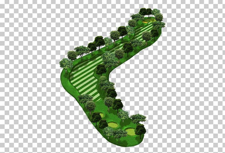 Plant Shoe PNG, Clipart, Chiang Mai Thailand Scenery, Food Drinks, Plant, Shoe Free PNG Download
