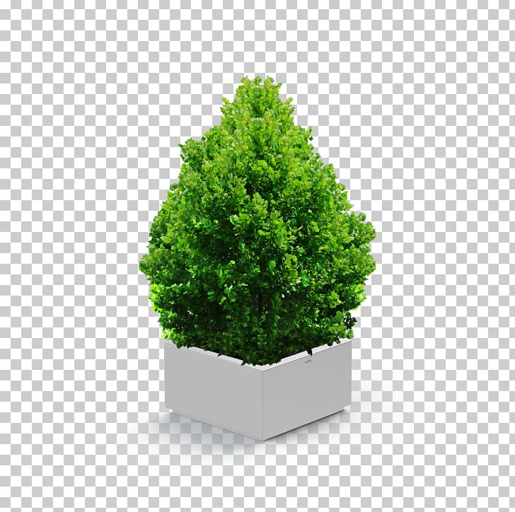 Shrub Tree Evergreen PNG, Clipart, Art, Computer Icons, Conifer, Deviantart, Digital Art Free PNG Download