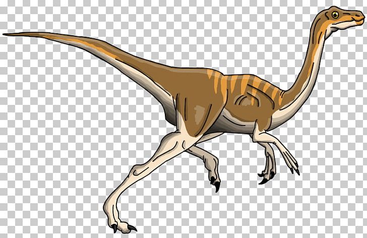 Velociraptor Tyrannosaurus Gallimimus Triceratops Brachiosaurus PNG, Clipart, Allosaurus, Animal, Animal Figure, Brachiosaurus, Deviantart Free PNG Download