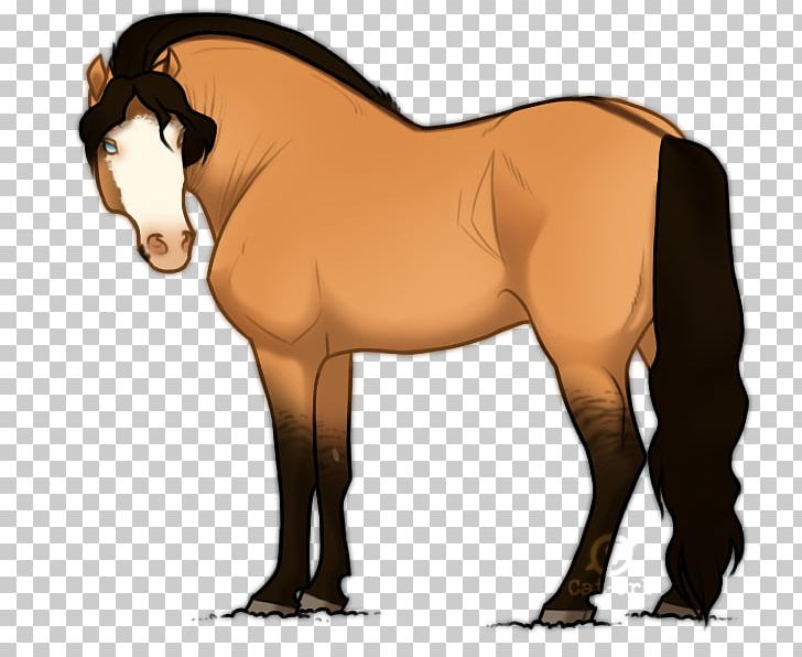 Mane Mustang Stallion Colt Rein PNG, Clipart, Bridle, Buttocks, Colt, Hair, Halter Free PNG Download
