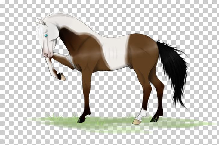 Mane Mustang Stallion Rein Mare PNG, Clipart, Bridle, Dog Harness, Halter, Horse, Horse Harness Free PNG Download