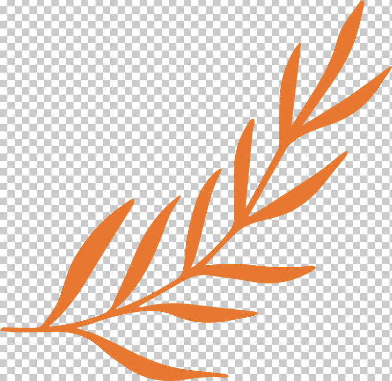 Simple Leaf Simple Leaf Drawing Simple Leaf Outline PNG, Clipart, Biology, Branch, Bud, Flower, Grasses Free PNG Download