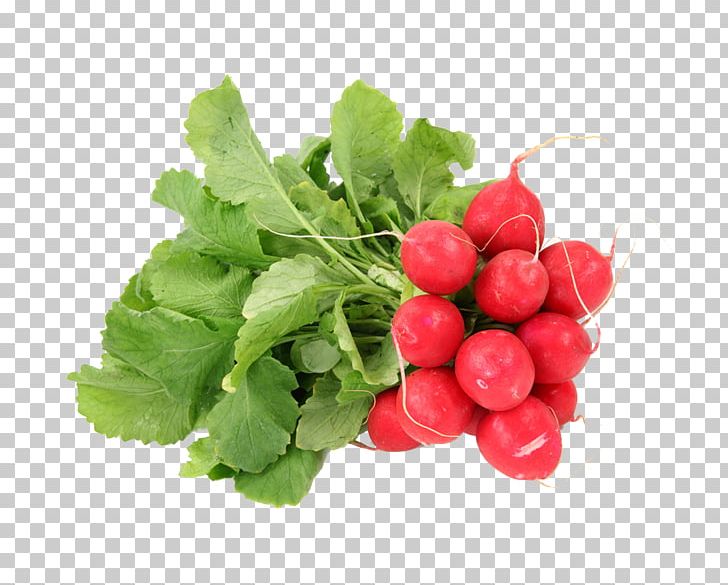 Daikon Raw Foodism Vegetable Fruit PNG, Clipart, Carrots, Currant, Diet Food, Eating, Food Free PNG Download