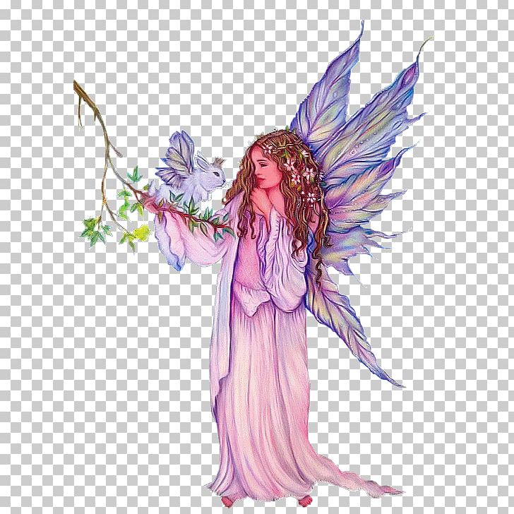 Fairy Drawing Elf Collections PNG, Clipart,  Free PNG Download