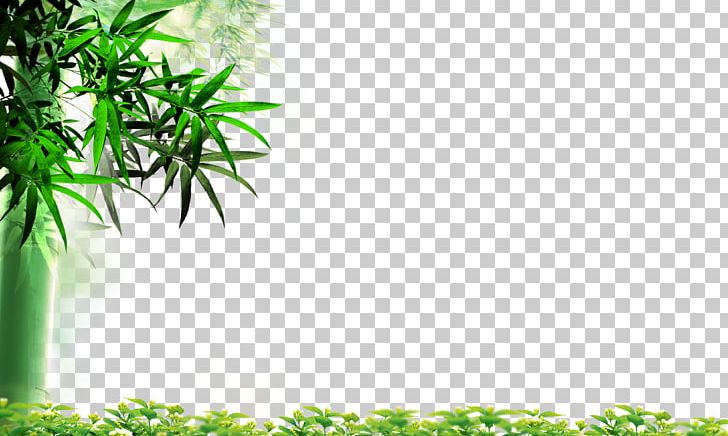 Leaf Bamboo High-definition Television PNG, Clipart, Autumn Leaves, Bamboe, Bamboo Vector, Banana Leaves, Blade Free PNG Download