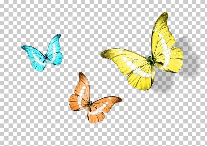 Monarch Butterfly Yellow PNG, Clipart, Balloon Cartoon, Brush Footed Butterfly, Butterflies, Cartoon, Cartoon Character Free PNG Download