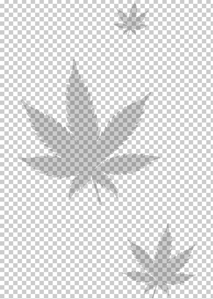 Cannabis Sativa Legality Of Cannabis Medical Cannabis Drug PNG, Clipart, Black And White, Blunt, Branch, Cannabidiol, Cannabis Free PNG Download