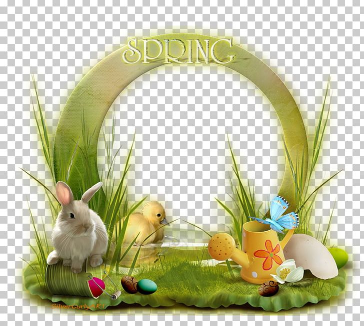 Cat Alice Easter Whiskers PNG, Clipart, Alice, Author, Cat, Easter, Flower Free PNG Download