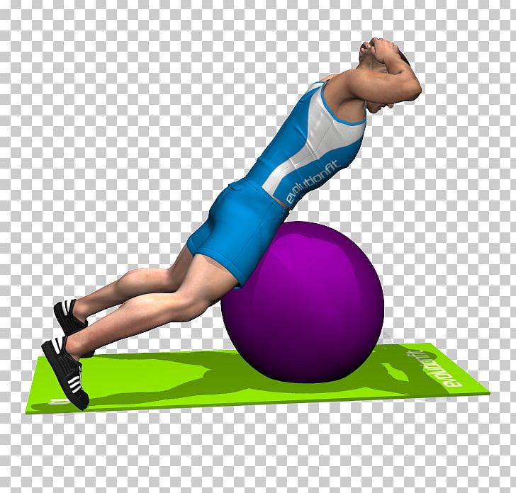Exercise Balls Sport Abdomen Esercizi Multiarticolari PNG, Clipart, Abdomen, Arm, Balance, Ball, Body Free PNG Download