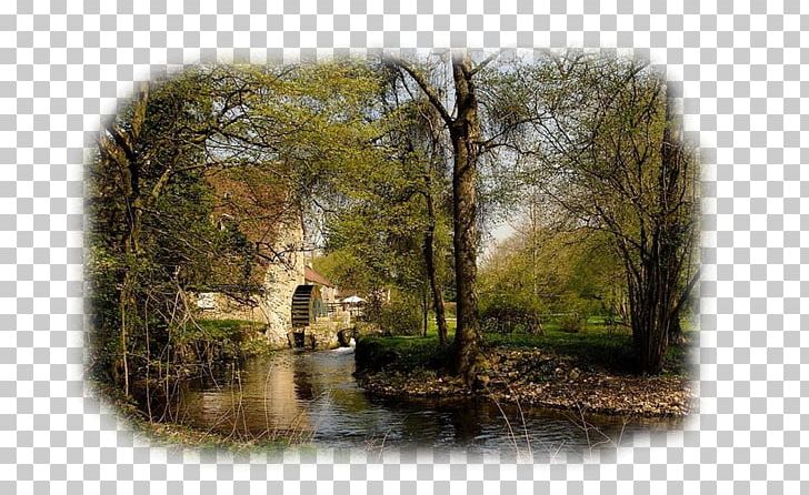 Landscape Painting Blog Nature PNG, Clipart, Animation, Author, Bank, Bayou, Blog Free PNG Download