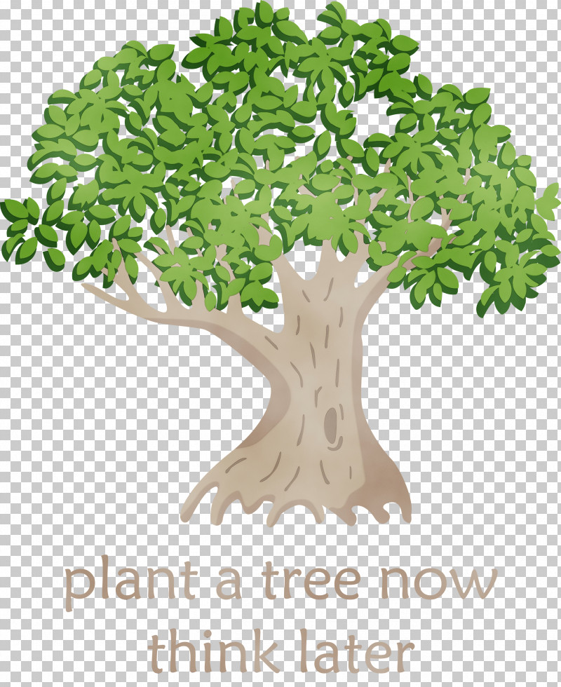 Plant Stem Houseplant Tree Hay Flowerpot With Saucer Meter PNG, Clipart, Angel, Arbor Day, Biology, Branching, Flowerpot Free PNG Download