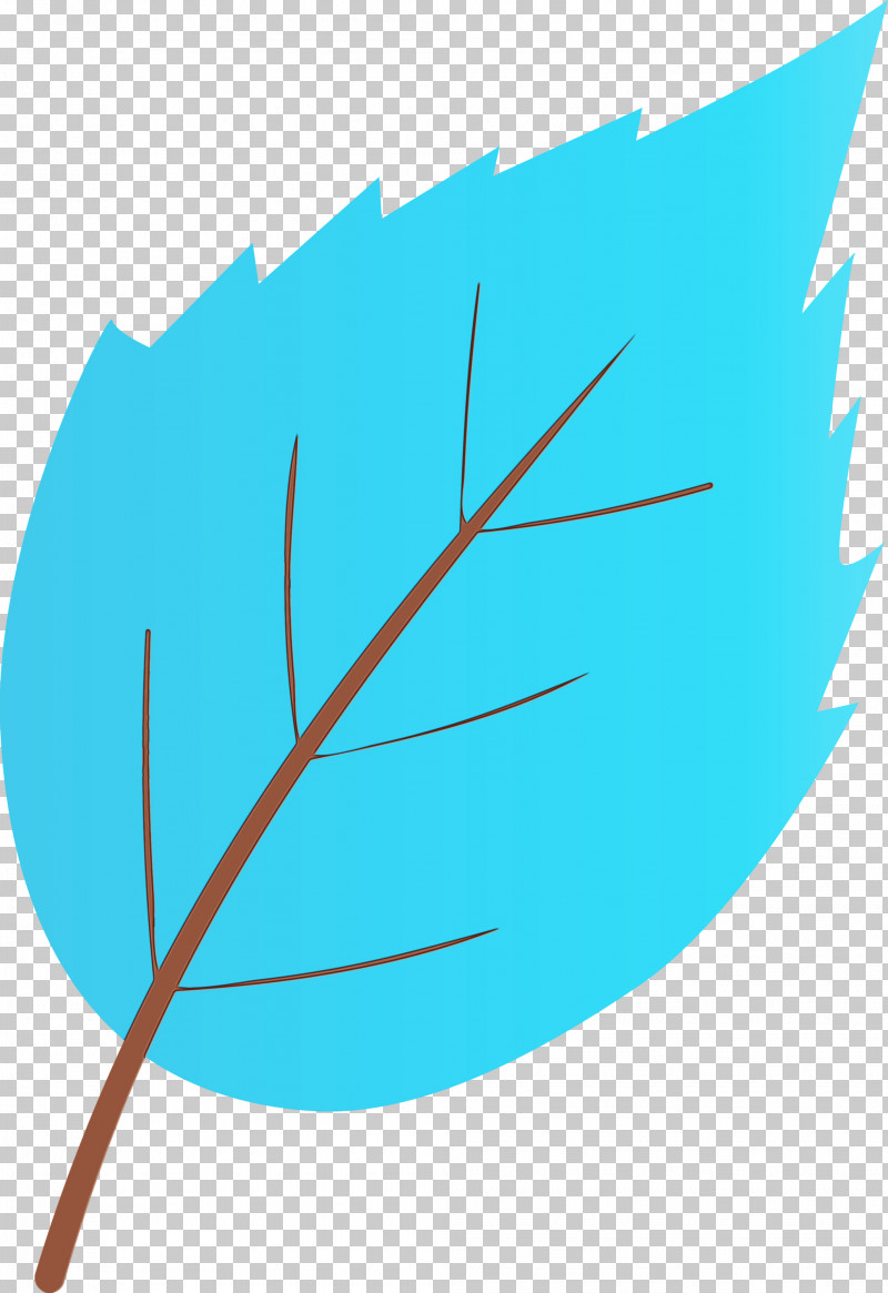 Feather PNG, Clipart, Feather, Leaf, Paint, Plant, Teal Free PNG Download