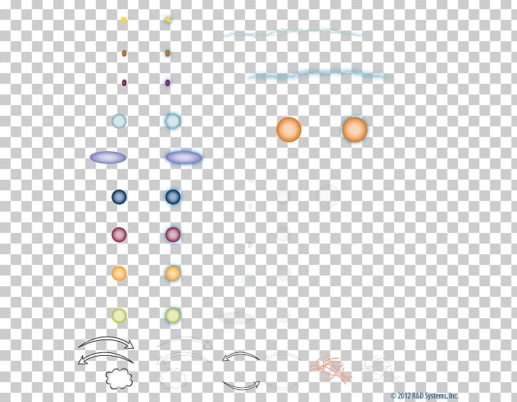 Coagulation Blood Fibrinolysis Thrombus PNG, Clipart, Area, Biological Process, Blood, Cell Signaling, Circle Free PNG Download