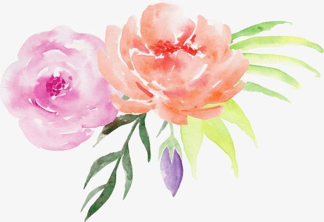 Hand-painted Watercolor Roses Decorative Elements PNG, Clipart, Creative, Creative Design, Decorative Clipart, Design, Elements Free PNG Download
