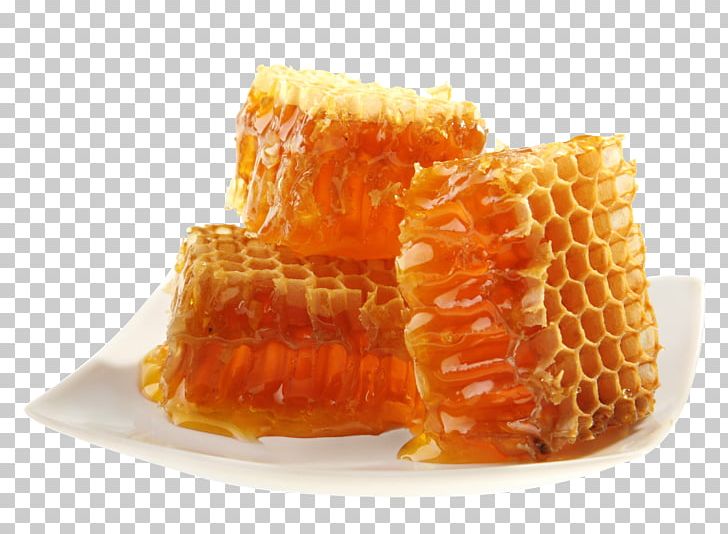 Honey Bee Maya Honey Bee Honeycomb PNG, Clipart, Africanized Bee, Bee, Bee Pollen, Bee Sting, Beeswax Free PNG Download