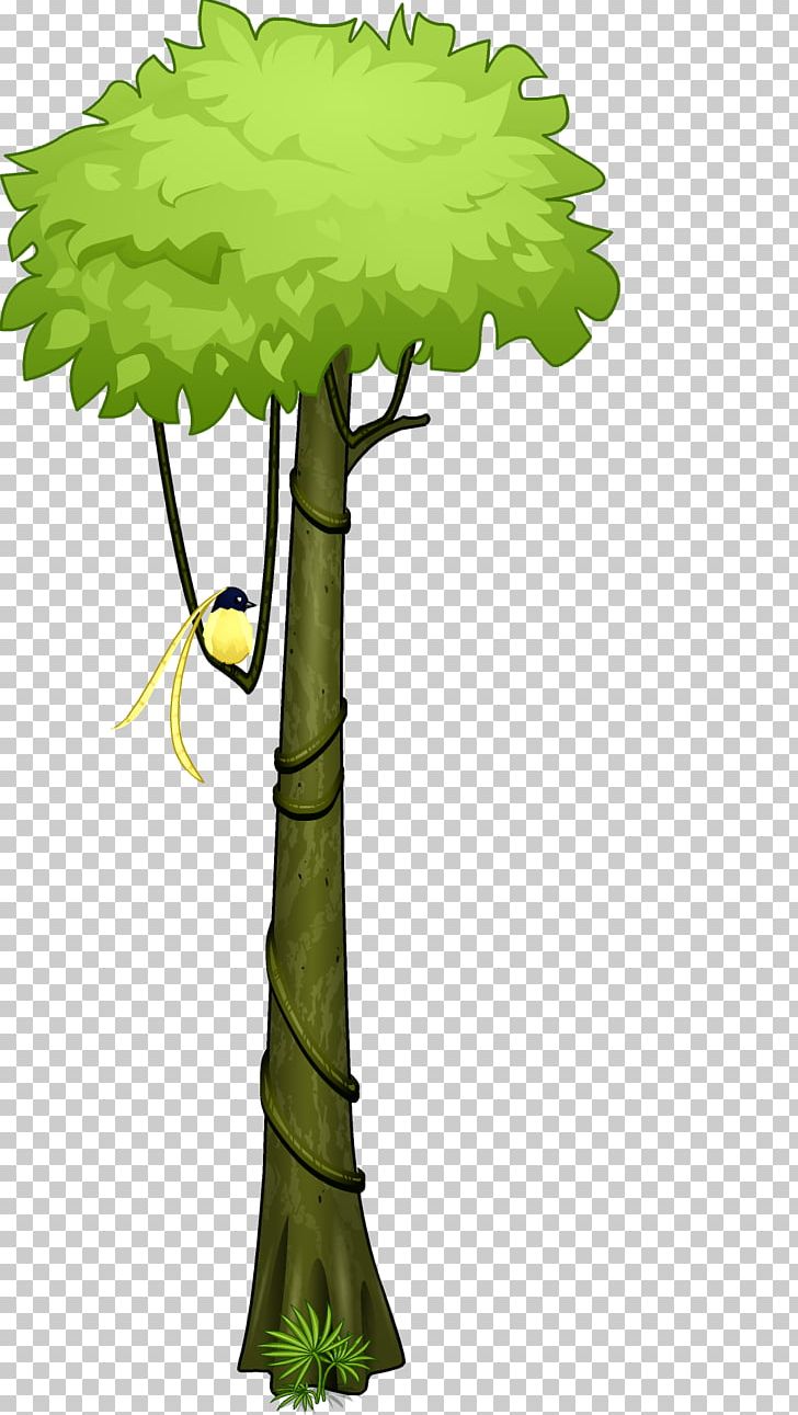 rainforest trees background clipart