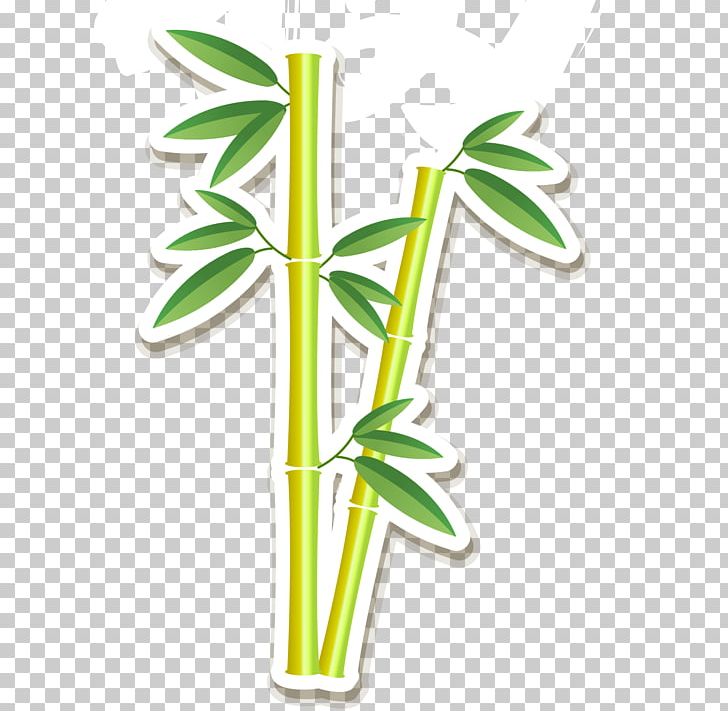 Bamboo PNG, Clipart, Bamboo, Bamboo Vector, Encapsulated Postscript, Flower, Green Tea Free PNG Download