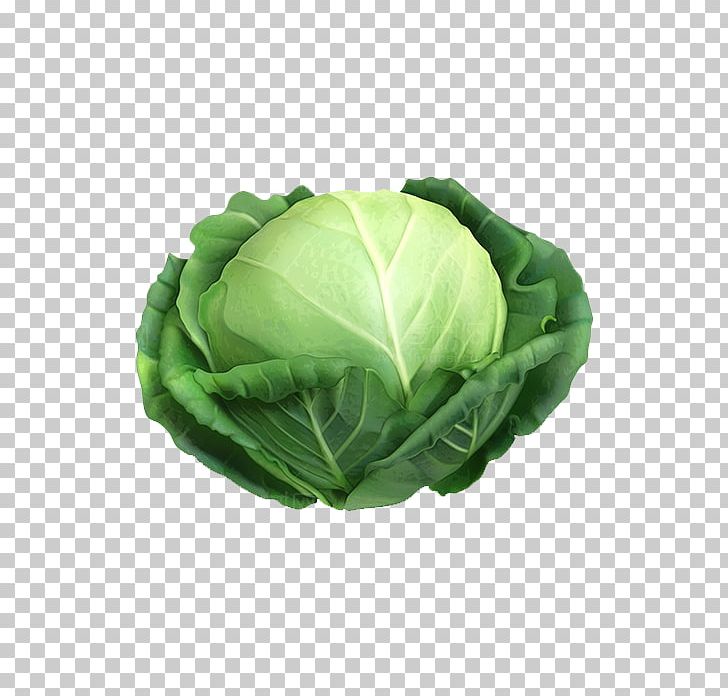 Cabbage Cauliflower Irish Cuisine Vegetable PNG, Clipart, Carrot, Chinese Cabbage, Collard Greens, Delicious, Food Free PNG Download