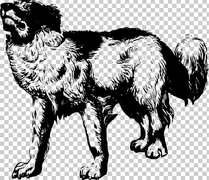 Dog Breed Pet Puppy PNG, Clipart, Animal, Animals, Black And White, Carnivoran, Cat Free PNG Download