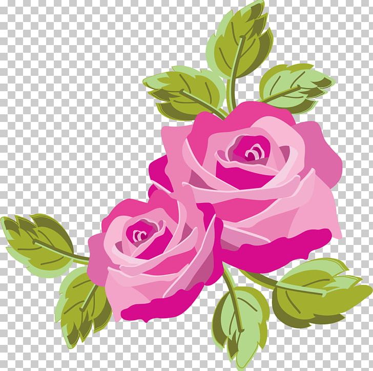 Garden Roses Cabbage Rose PNG, Clipart, Art, Art , Cabbage Rose, Clip Art, Color Free PNG Download