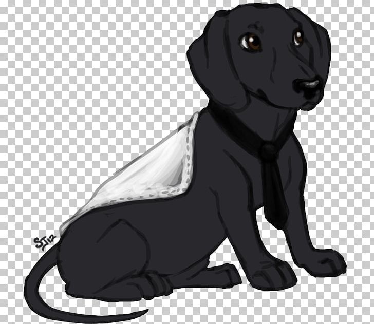 Labrador Retriever Puppy Dog Breed Sporting Group PNG, Clipart, 17 Years, Animals, Black, Breed, Carnivoran Free PNG Download