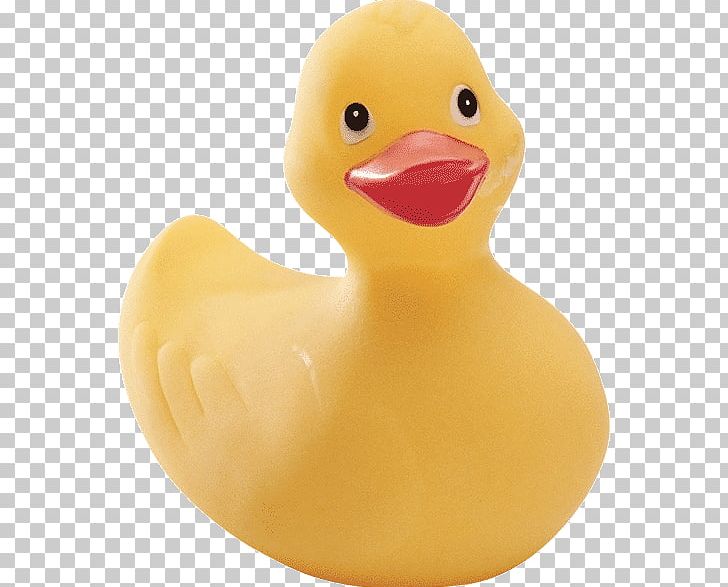 Rubber Duck Natural Rubber Polymer Hoots The Owl PNG, Clipart, Anatidae, Animals, Bathtub, Beak, Bird Free PNG Download