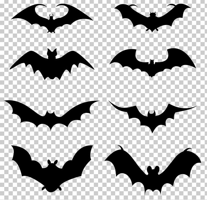 Bat Family PNG, Clipart, Background Decoration, Bat Family, Bat Wing Development, Black And White, Black Bat Free PNG Download