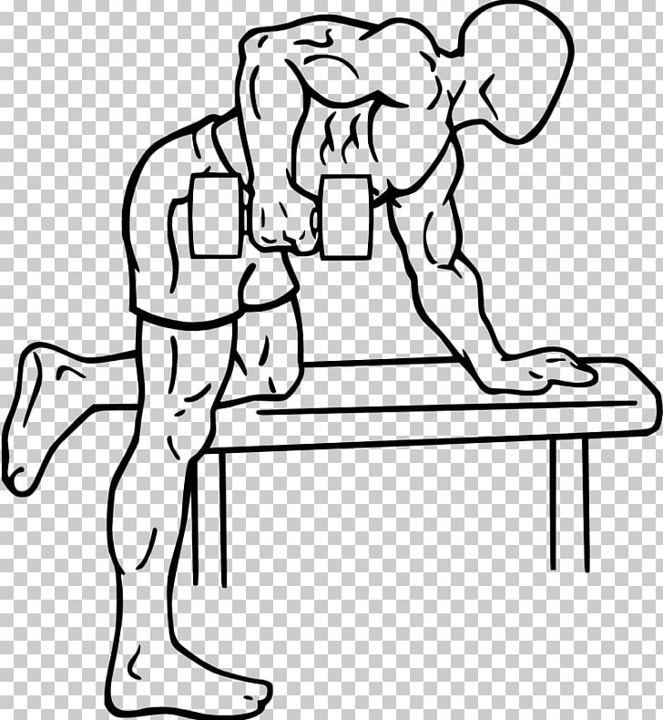 Bent-over Row Deltoid Muscle Rear Delt Raise Dumbbell PNG, Clipart, Arm, Art, Barbell, Bench, Bentover Row Free PNG Download