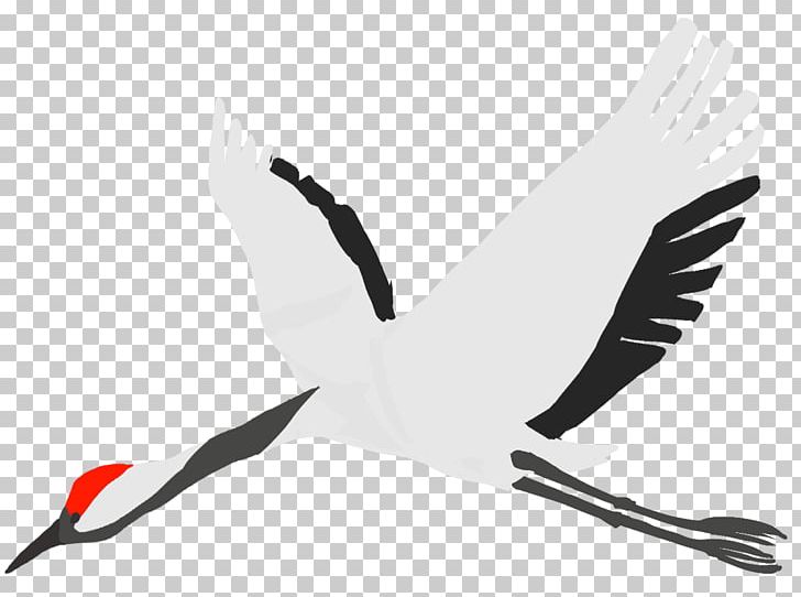 Crane Water Bird PNG, Clipart, 1940, Anatidae, Animal, Beak, Bird Free PNG Download