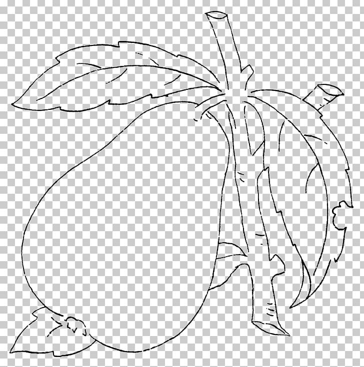 Pyrus Xd7 Bretschneideri Pear Drawing Fruit PNG, Clipart, Area, Art, Auglis, Branch, Fig Free PNG Download
