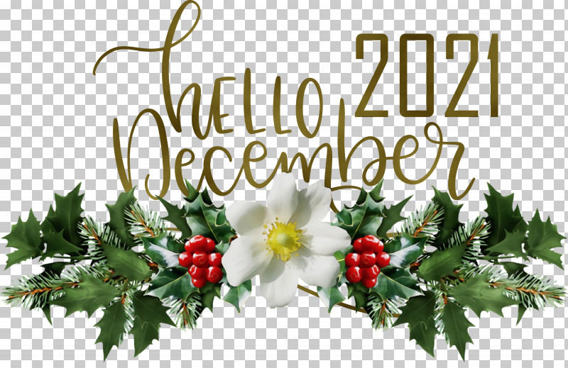 Christmas Day PNG, Clipart, Christmas Day, Common Holly, December, Drawing, Hello December Free PNG Download