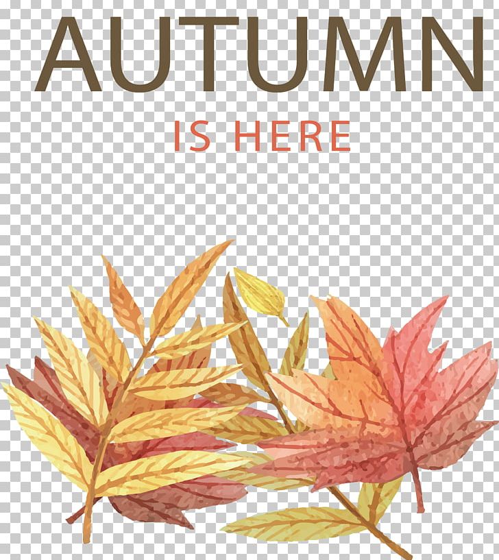 Autumn Leaf Color Illustration PNG, Clipart, Autumn, Autumn Background, Autumn Is Coming, Autumn Leaf, Autumn Leaves Free PNG Download