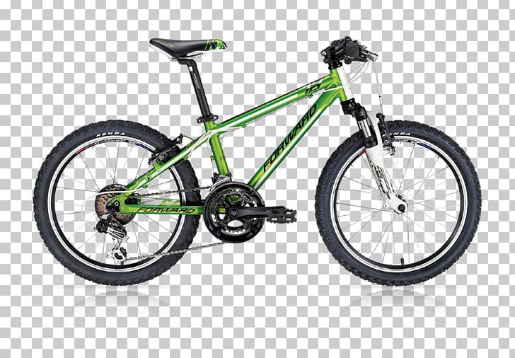Bicycle Mountain Bike Cross-country Cycling Oreba MX 20 Dirt Mountainbike PNG, Clipart, Bicycle, Bicycle Accessory, Bicycle Frame, Bicycle Frames, Bicycle Part Free PNG Download