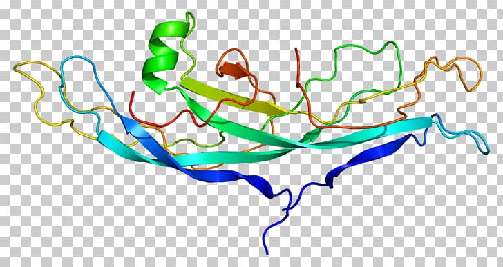 CGB2 Human Chorionic Gonadotropin Protein Subunit Gene PNG, Clipart, Area, Art, Artwork, Gene, Gonadotropin Free PNG Download