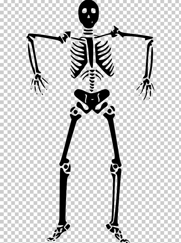 Graphics Human Skeleton Bone PNG, Clipart, Anatomy, Area, Art, Artwork, Black Free PNG Download