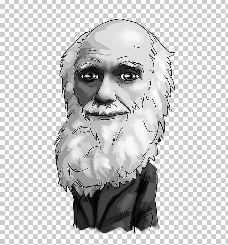 Human Business Foreign Exchange Market Investment Nose PNG, Clipart, Beard, Black And White, Business, Charles Darwin, Death Free PNG Download