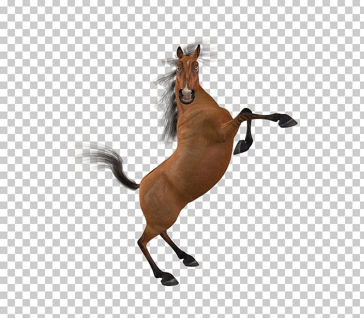 Mustang Mane Stallion Pony PNG, Clipart, Animal Figure, Bridle, Funny, Halter, Horse Free PNG Download