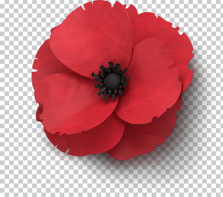 Remembrance Poppy Flower In Flanders Fields Armistice Day PNG, Clipart, Armistice Day, Common Poppy, Coquelicot, Flower, Flowering Plant Free PNG Download