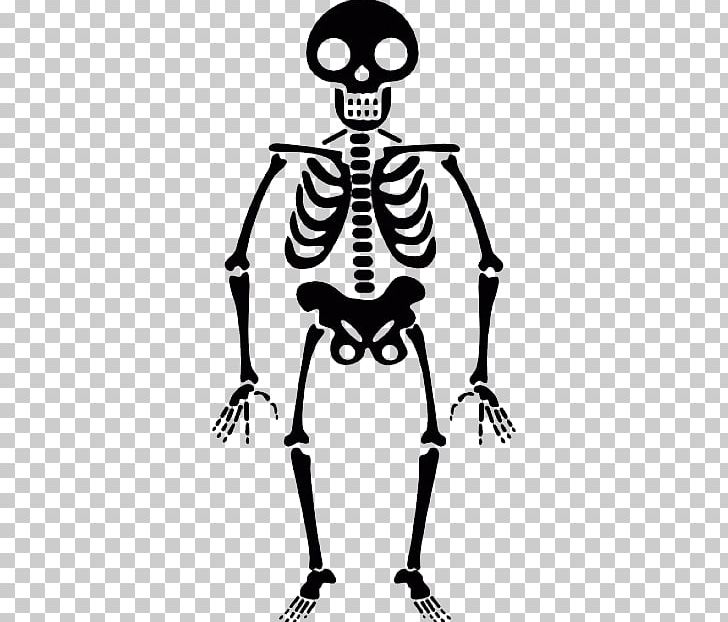 Skeleton PNG, Clipart, Skeleton Free PNG Download