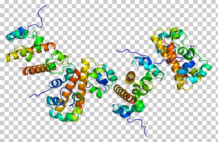 EPH Receptor B2 Ephrin Receptor Protein PNG, Clipart, 4 F, Antibody, Area, Art, B 4 Free PNG Download