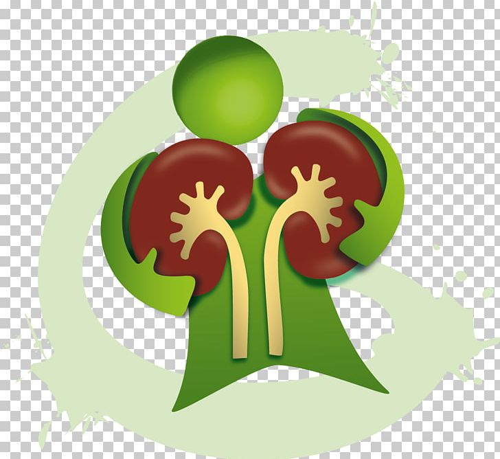 Green Organism PNG, Clipart, Green, Organism, Others, Symbol Free PNG Download
