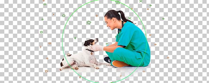 Dog Veterinarian Veterinary Medicine Pet Surgery PNG, Clipart, Animal, Animal Husbandry, Animals, Carnivoran, Cat Free PNG Download
